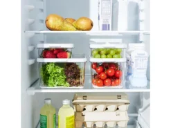 Rotho Küchen-Ordnungssysteme<Kühlschrankorganizer Cauma 1,2 l Weiß
