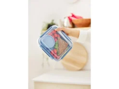 Online Rotho Salatbox B3 Memory 1,7 l Transparent Horizonblau