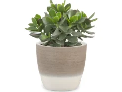 Clearance Scheurich Übertopf 950 Ø 16 cm Espresso Cream Braun