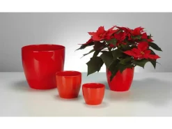 Scheurich Übertopf 920 Ø 14 cm Red< Töpfe