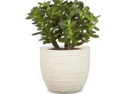 Scheurich Töpfe<Übertopf 866 Ø 14 cm Vainilla