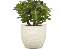 Outlet Scheurich Übertopf 866 Ø 16 cm Vainilla Weiß
