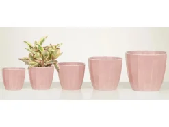 Clearance Scheurich Übertopf 939 Ø 15 cm x 13 cm Rose Elegance