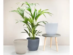 Scheurich Übertopf 920 Ø 25 cm x 23 cm< Töpfe