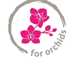Best Scheurich Orchideentopf 620 Ø 13 cm x 15 cm Salbei