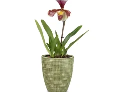 Scheurich Pflanzgefäß 667 Ø 13 cm< Töpfe