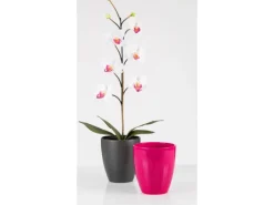 Outlet Scheurich Pflanzgefäß 620 Ø 13 cm Anthrazit
