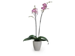 Outlet Scheurich Pflanzgefäß 620 Ø 13 cm Taupe