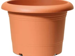 New Scheurich Pflanzgefäß Oliver Ø 40 cm Terracotta