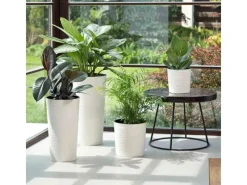 Siena Garden Pflanzgefäß Modern Locon Ø 30x57,0 cm< Töpfe