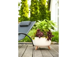 Outlet Siena Garden Pflanzgefäß Oslo Ø 40x25 cm Beige