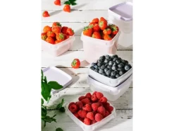 Clearance SmartStore Gefrierdose Frost 1 l Lavendel 3 Stück