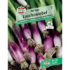 New Sperli Lauchzwiebel "Red Toga" (Allium fistulosum)