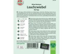 New Sperli Lauchzwiebel "Red Toga" (Allium fistulosum)