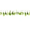 Spritzschutz-Rückwand WandArt easy 120 x 58,5 cm Herbs Line (D3106P BRIL) FSC®< Herde|Küchenrückwände