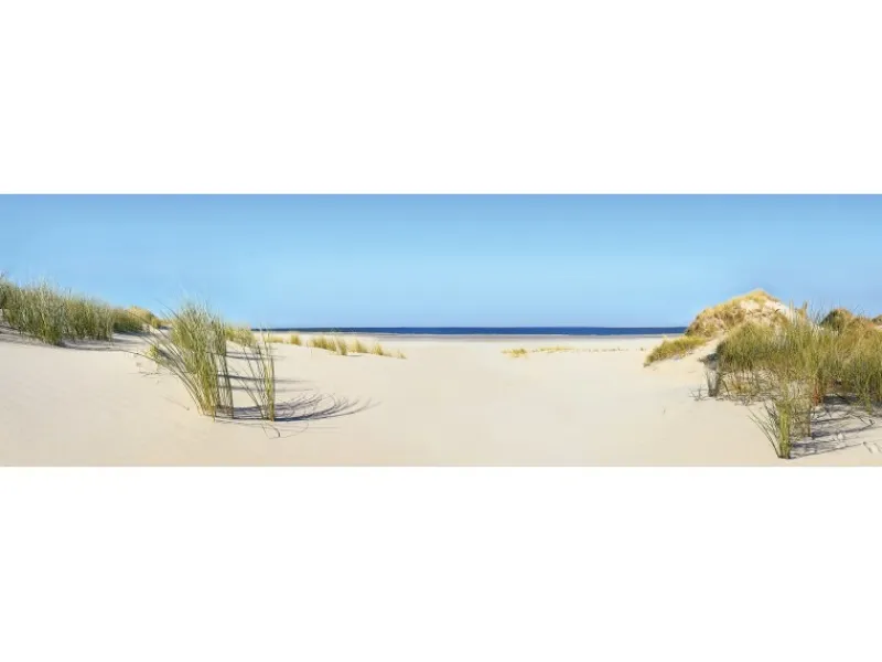 Best Spritzschutz-Rückwand WandArt easy 200 x 58,5 cm Summer Dune (D1103P BRIL) FSC®