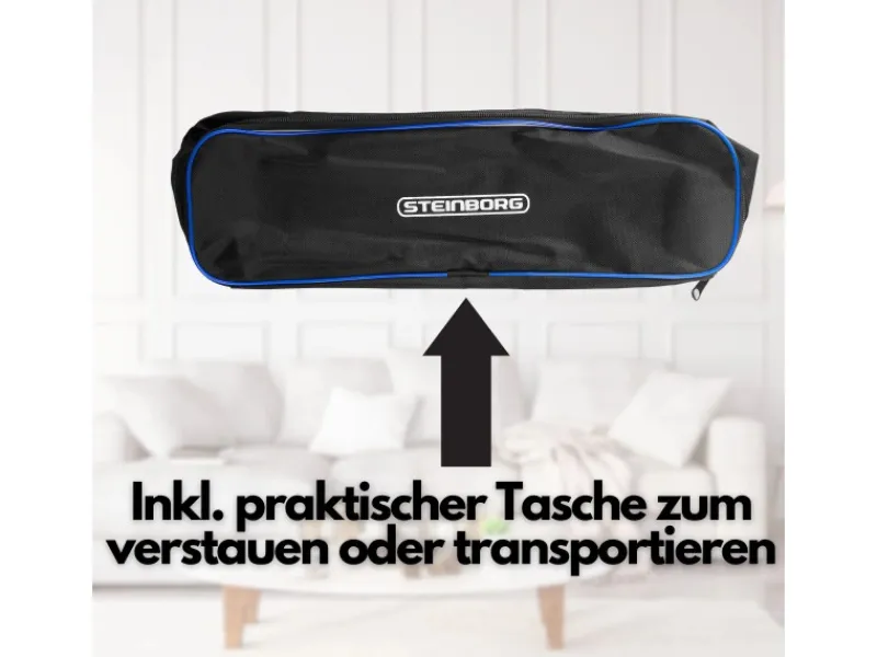 STEINBORG Haushaltsgeräte<SB-1031 Akku-Handstaubsauger mit Tasche 6500 Pa