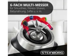 Sale STEINBORG SB-7020 Edelstahl Standmixer 1,5 Liter BPA-Frei 800 Watt