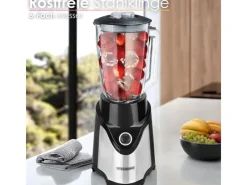 Outlet STEINBORG SB-7030 Standmixer mit To-Go Becher Glaskrug BPA-Frei 500 Watt