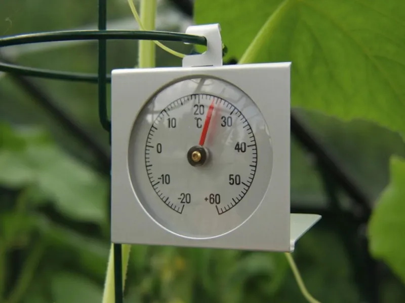 Vitavia Gefrierschränke<Thermometer