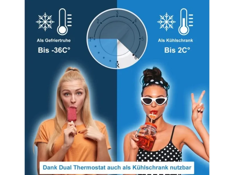 Tronitechnik Gefriertruhe Kühltruhe Borgar Pro Mit 2In1 Gefrier- Und Kühlfunktion | 110 Liter 169Kwh/Jahr | Led-Licht< Gefrierschränke