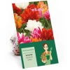 Töpfe<Tulipa Ballroom Queen Mischung 20 Stück Tulipa double early Ballroom Queen
