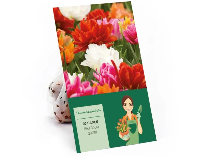 Töpfe<Tulipa Ballroom Queen Mischung 20 Stück Tulipa double early Ballroom Queen