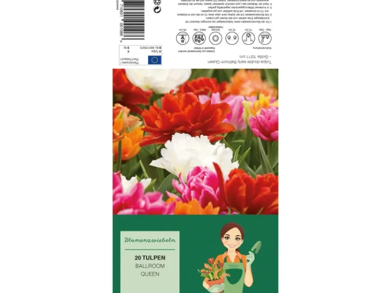 Töpfe<Tulipa Ballroom Queen Mischung 20 Stück Tulipa double early Ballroom Queen
