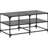 vidaXL Couchtisch mit Glasplatte Schwarz 98,5x50x45 cm Stahl Modell 1< Pfannen