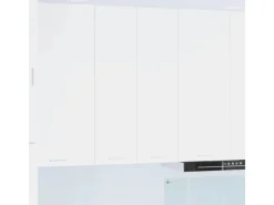 vidaXL Hängeschrank mit Tür Riga 60 x 31 x 100 cm Holzwerkstoff 884354< Küchenschränke