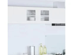 vidaXL Hängeschrank mit Tür Riga 80 x 31 x 40 cm Holzwerkstoff 884226< Küchenschränke