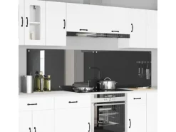 vidaXL Küchenrückwand 2 pcs 110 x 60 cm Gehärtetes Glas 3415508< Küchenrückwände