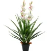 Töpfe<vidaXL Künstliche Cymbidium Orchideenpflanze mit Topf 100 cm Grün