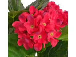 Töpfe<vidaXL Künstliche Hortensie mit Topf 60 cm Rot