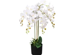 Töpfe<vidaXL Künstliche Orchidee mit Topf 75 cm Weiß