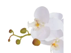 Töpfe<vidaXL Künstliche Orchidee mit Topf 75 cm Weiß