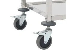 vidaXL 2-Stufiger Servierwagen 96,5 x 55 x 90 cm Edelstahl< Servierwagen