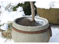 Videx Garden Kokosscheibe Ø 25 cm< Töpfe