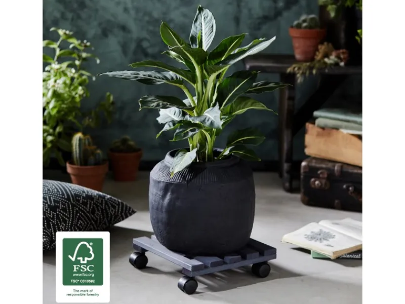 Wagner design yourself Wagner Multi Roller Nature Tragkraft 100 kg 290 mm x 290 mm Anthrazit FSC®< Töpfe