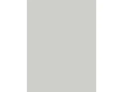 Wandabschlussleiste Plus 410 x 3 cm (A402 C) Hellgrau