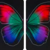 Wenko Herdabdeckplatten Universal Butterfly by Night 2er Set Mehrfarbig< Herdabdeckungen|Kochfelder