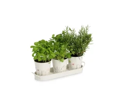 Zeller Kräutertopf-Set Flowers Metall 4-teilig Weiß< Töpfe